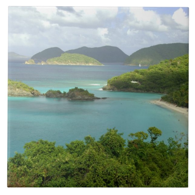 Caribe, Ilhas Virgens Americanas, St. John, Tronco (Frente)