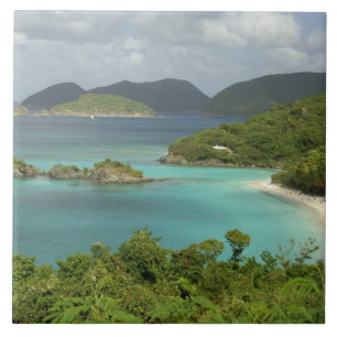 Caribe, Ilhas Virgens dos EUA, St. John, Tronco