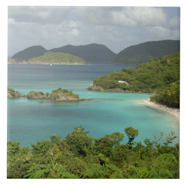 Caribe, Ilhas Virgens dos EUA, St. John, Tronco (Frente)