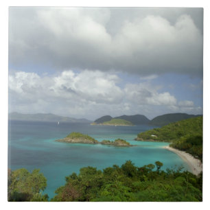 Caribe, Ilhas Virgens dos EUA, St. John, Tronco 3