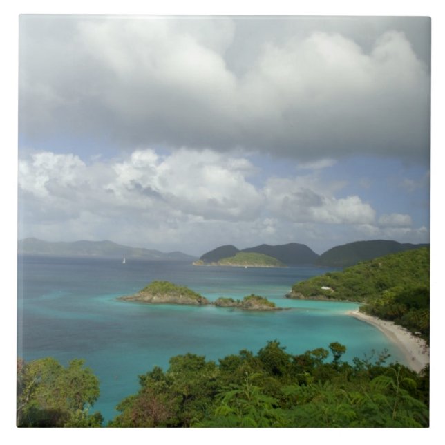 Caribe, Ilhas Virgens dos EUA, St. John, Tronco 3 (Frente)
