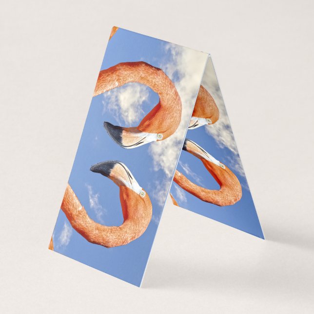 Caribe o coração do flamingo (Frente)