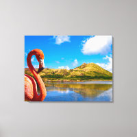 Caribe o flamingo na canvas das Ruas