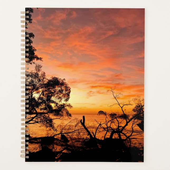 Caribe Planejador de Brilho de Disco (Frente)