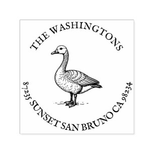 CARIMBO AUTO ENTINTADO 