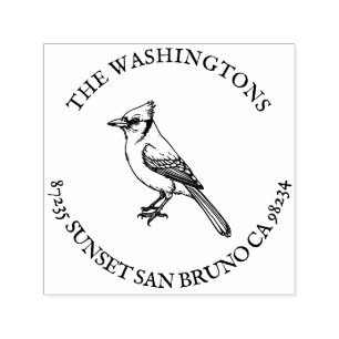 CARIMBO AUTO ENTINTADO 