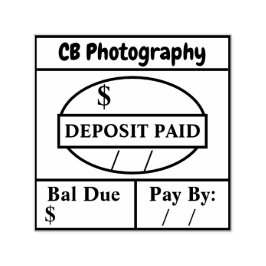 Carimbo Auto Entintado Autoinchaço de Depósito Pago/Bal Devido Personaliz