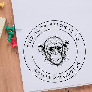 Carimbo Auto Entintado Bebê Personalizado Este Livro Pertence Ao Nome Da 