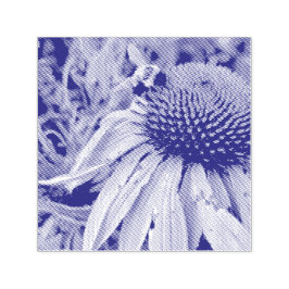 Carimbo Auto Entintado Bee and Coneflower Self Inking Rubber Stamp