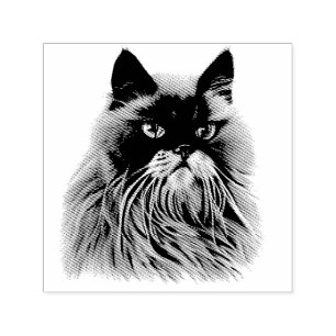Carimbo Auto Entintado Belo retrato de gato persa