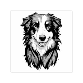 Carimbo Auto Entintado Border Collie