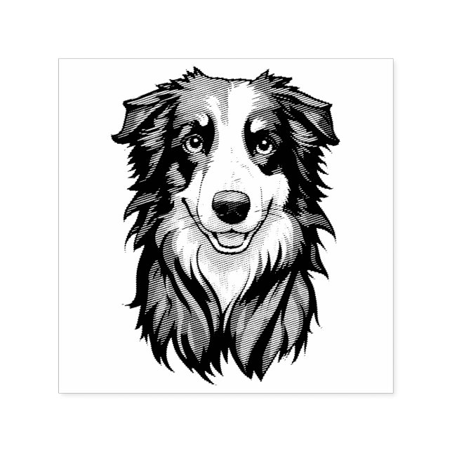 Carimbo Auto Entintado Border Collie (Design)