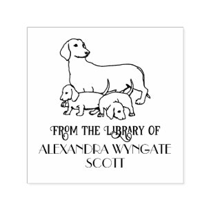 Carimbo Auto Entintado Cachorro Dachshund e Nome do Livro da Biblioteca d