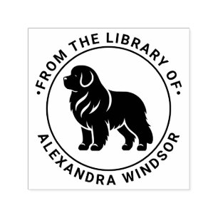 Carimbo Auto Entintado Cão Terra Nova em Pé Nome do Livro da Biblioteca S