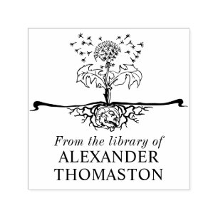 Carimbo Auto Entintado Caveira, Dandelion Seeds Explosivos Nome do Livro