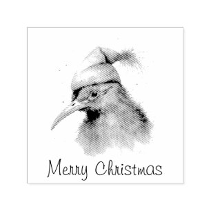 Carimbo Auto Entintado Cozy Christmas Kiwi, costume