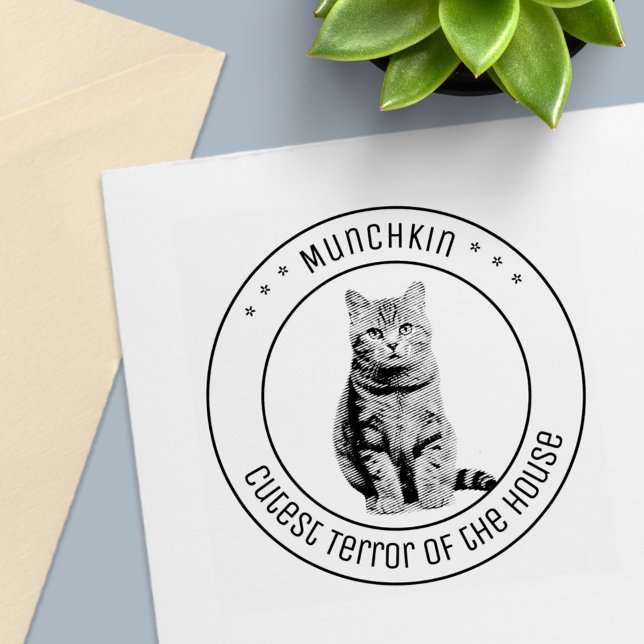 Carimbo Auto Entintado Cute Cat Pet Photo Round (Criador carregado)