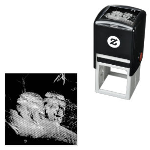 Carimbo Auto Entintado Duas Corujas Sleepy Frogmouth,