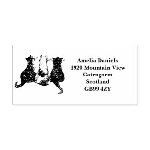 Carimbo Auto Entintado Endereço de devolução de Gats de Corte