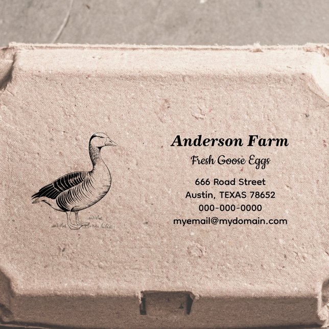 Carimbo Auto Entintado Endereço de devolução de ovos de ganso de fazenda (Farm Goose Eggs Return Address Self-inking Stamp)