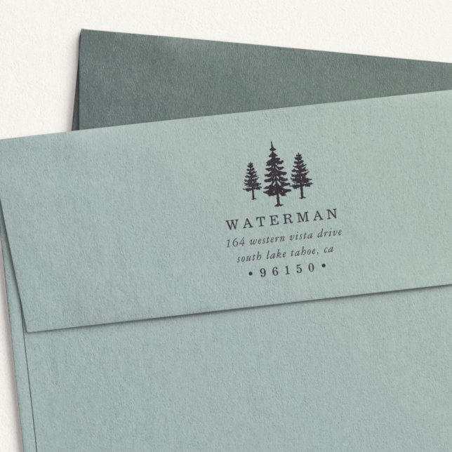 Carimbo Auto Entintado Endereço de devolução de pinos de altura (Criador carregado)