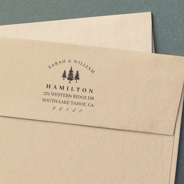 Carimbo Auto Entintado Endereço de devolução de pinos de altura (Criador carregado)