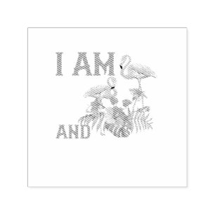 Carimbo Auto Entintado Eu sou 6 e incrível