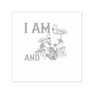 Carimbo Auto Entintado Eu sou 6 e incrível