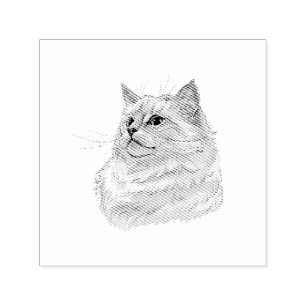 Carimbo Auto Entintado Gato de Ragdoll que desenhava a mão