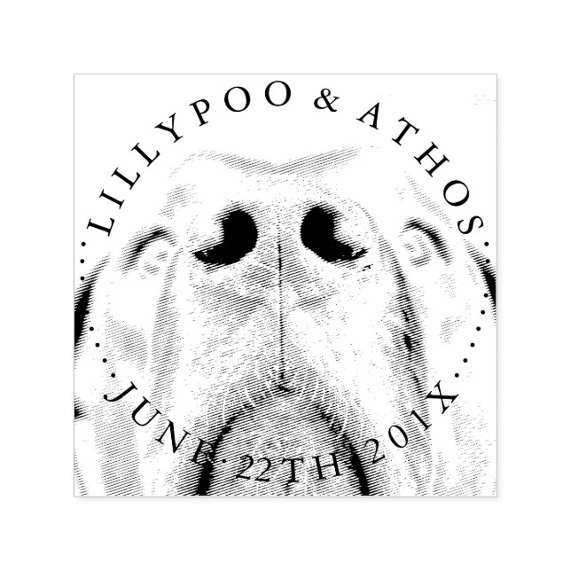 Carimbo Auto Entintado Grandes Carcaças (Design)