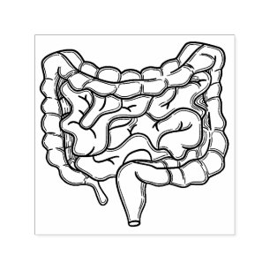 Carimbo Auto Entintado Gut
