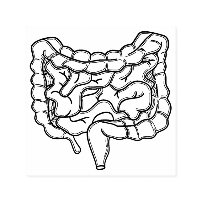 Carimbo Auto Entintado Gut (Design)