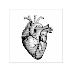 Carimbo Auto Entintado Ilustração Vintage de um Coração