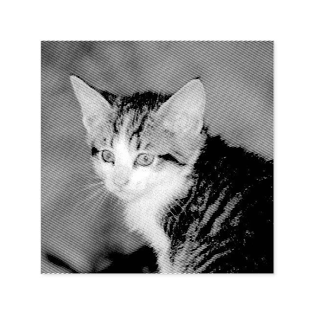 Carimbo Auto Entintado Kitten (Design)