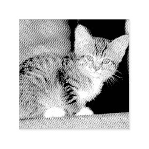 Carimbo Auto Entintado Kitten
