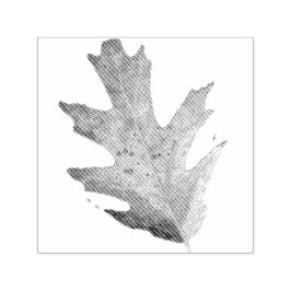 Carimbo Auto Entintado Leaf Self-inking Stamp