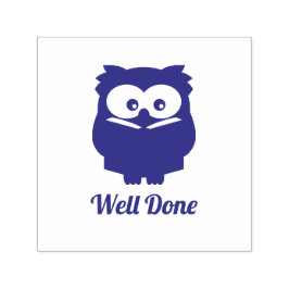 Carimbo Auto Entintado Leitura de Coruja Bem Feita Carteira de Professore