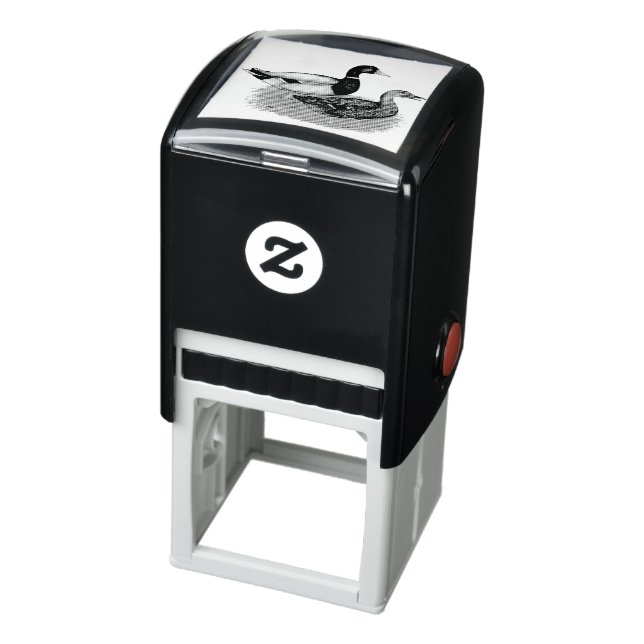 Carimbo Auto Entintado Mallard Drake e Duck (Produto)