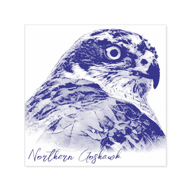 Carimbo Auto Entintado Northern Goshawk (Design)