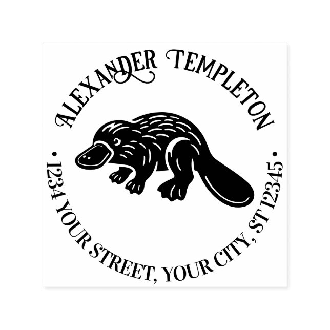 Carimbo Auto Entintado Pato Bilhado Platypus #2P Nome Endereço de Retorno (Design)