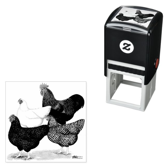 Carimbo Auto Entintado Plymouth Rock Quartet (In Situ)