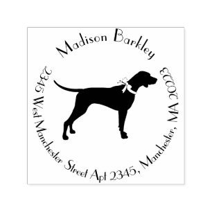 Carimbo Auto Entintado Pointer Dog Puppy English Setter