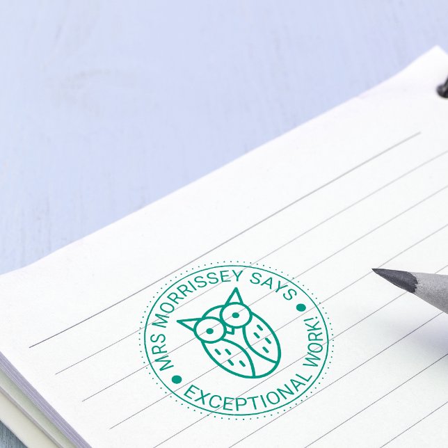 Carimbo Auto Entintado Professores de Ocupação Excepcional Personalizados (Exceptional Work Owl Teachers Personalized Self-inking Stamp)