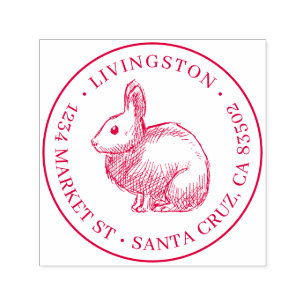 Carimbo Auto Entintado Rabbit Sketch Round Family Name & Return Address