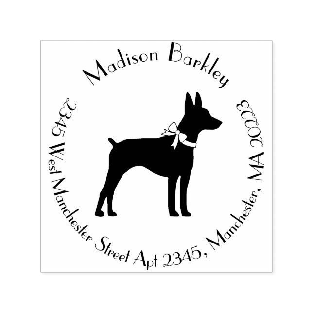 Carimbo Auto Entintado Rat Terrier Dog Puppy (Design)