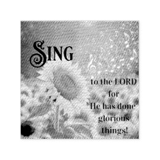 Carimbo Auto Entintado Rubber Stamp