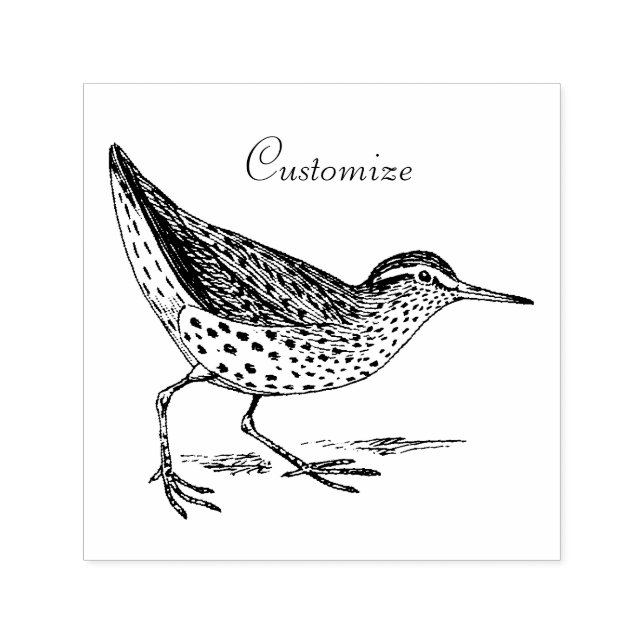 Carimbo Auto Entintado Sandpiper Shorebird Thunder_Cove (Design)