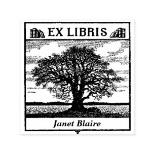 Carimbo Auto Entintado Selo feito sob encomenda EX do livro da biblioteca