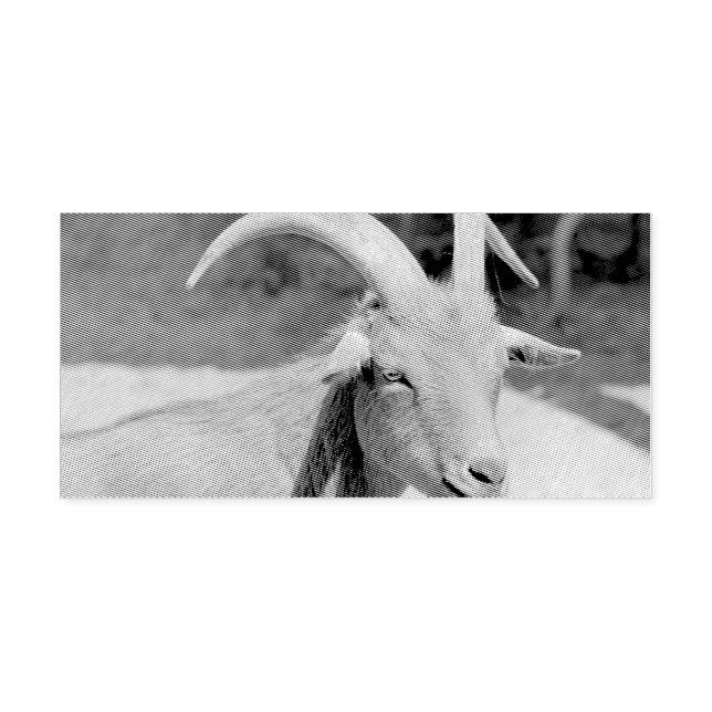 Carimbo Auto Entintado Sr. Bill (Design)