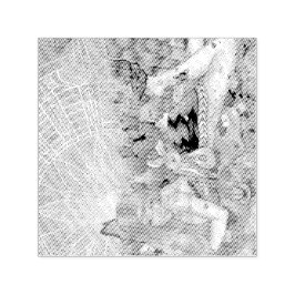 Carimbo Auto Entintado Tarde